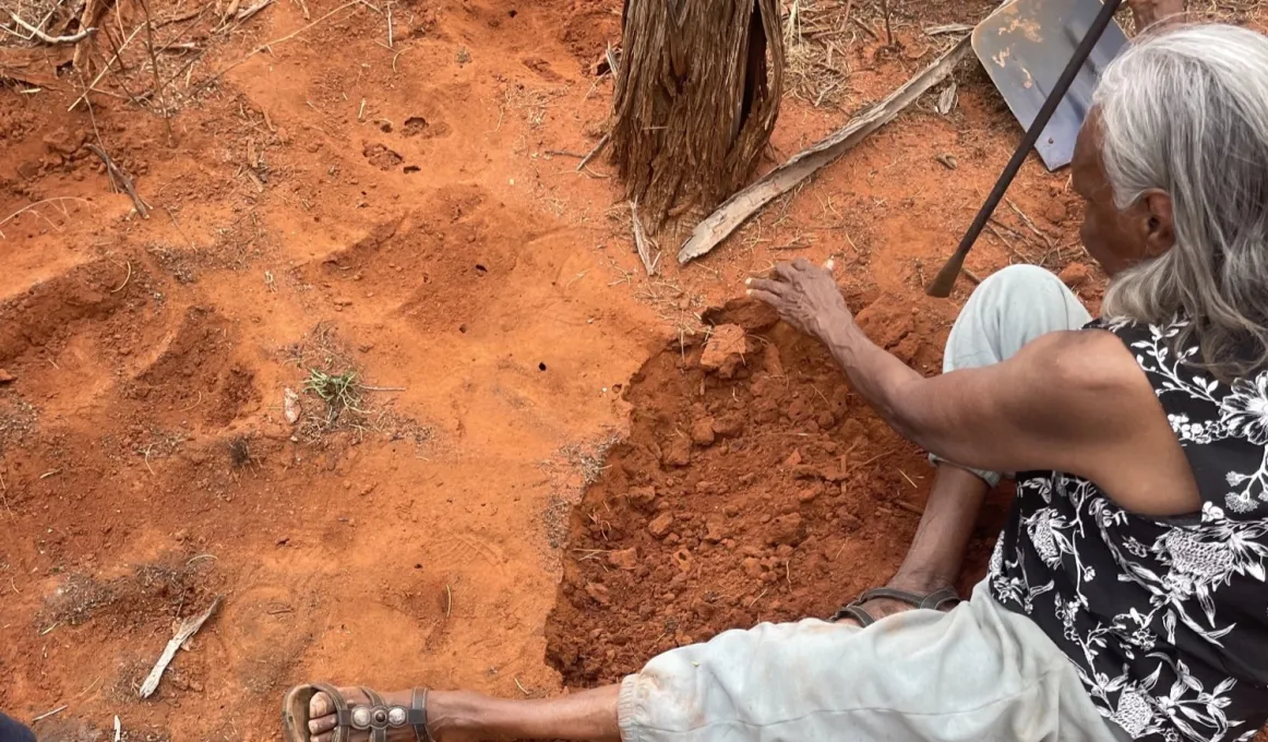 Audrey McCormack digging for honey ants.