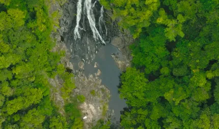 Aerial photo of a rocky waterfall in lush forestation