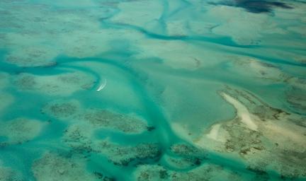 A large area of seabed with turquoise water sitting in gutters and over shallow sand banks, reef and grass beds.
